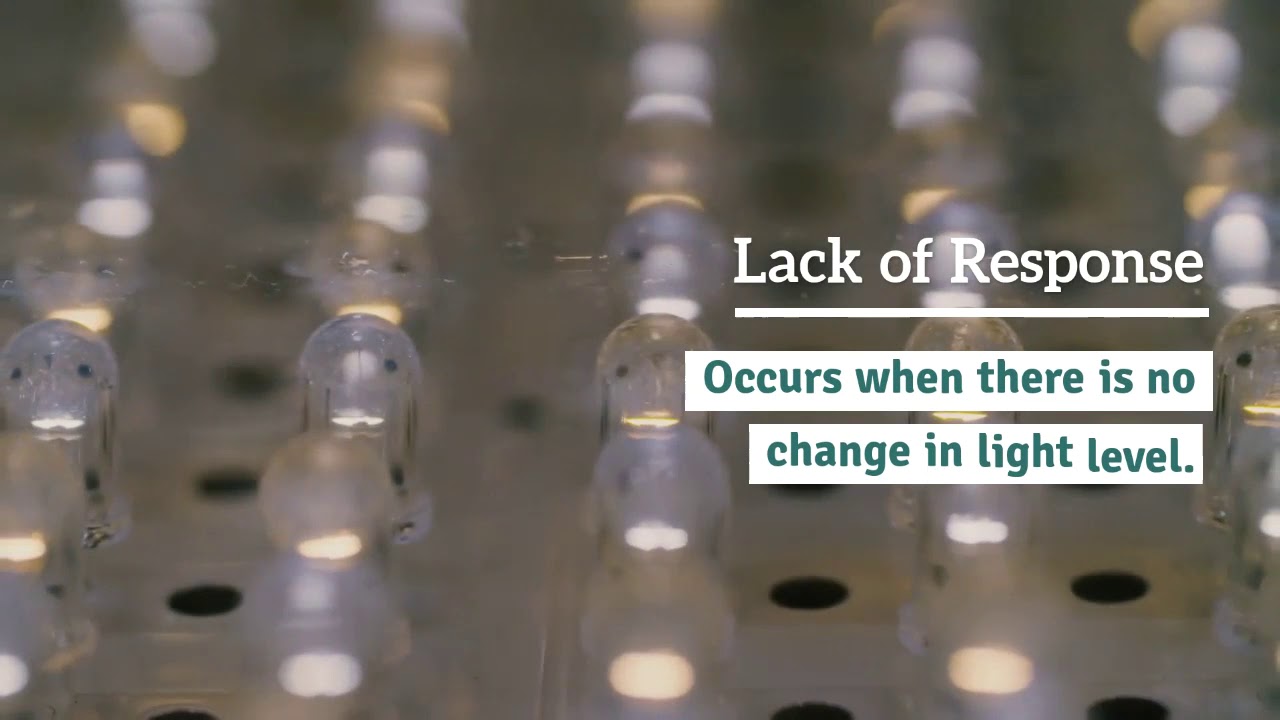Trouble Shooting Common LED Dimming Issues